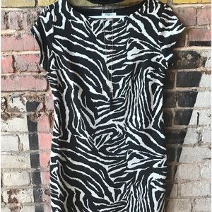 CATO Zebra Print Sheath Dress Size 6